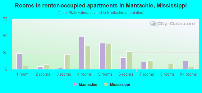 Rooms in renter-occupied apartments in Mantachie, Mississippi