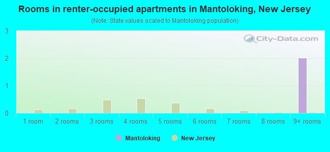 Rooms in renter-occupied apartments in Mantoloking, New Jersey