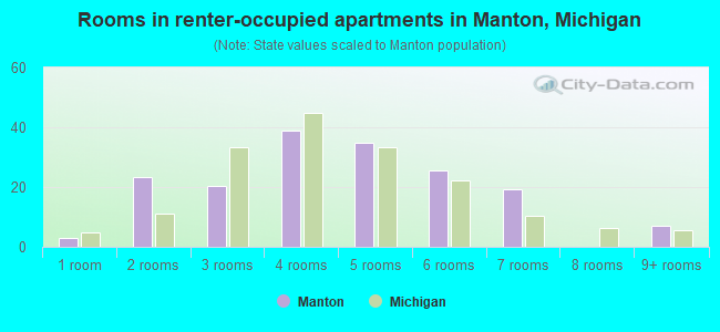 Rooms in renter-occupied apartments in Manton, Michigan