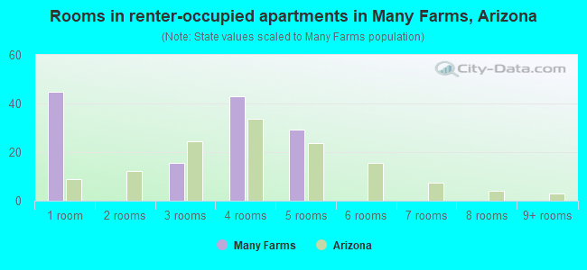 Rooms in renter-occupied apartments in Many Farms, Arizona