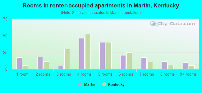 Rooms in renter-occupied apartments in Martin, Kentucky