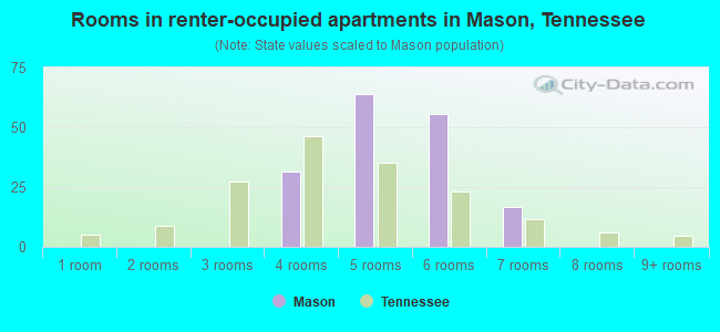 Rooms in renter-occupied apartments in Mason, Tennessee