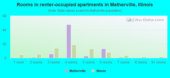 Rooms in renter-occupied apartments in Matherville, Illinois