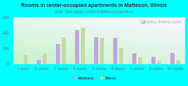 Rooms in renter-occupied apartments in Matteson, Illinois