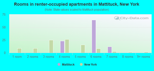 Rooms in renter-occupied apartments in Mattituck, New York
