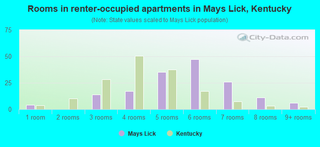 Rooms in renter-occupied apartments in Mays Lick, Kentucky