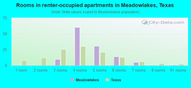 Rooms in renter-occupied apartments in Meadowlakes, Texas