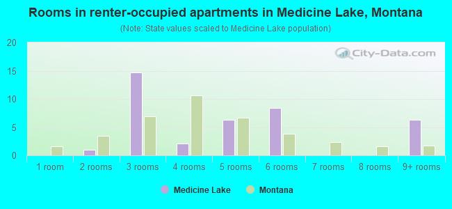Rooms in renter-occupied apartments in Medicine Lake, Montana