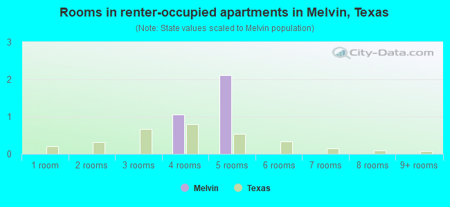 Rooms in renter-occupied apartments in Melvin, Texas