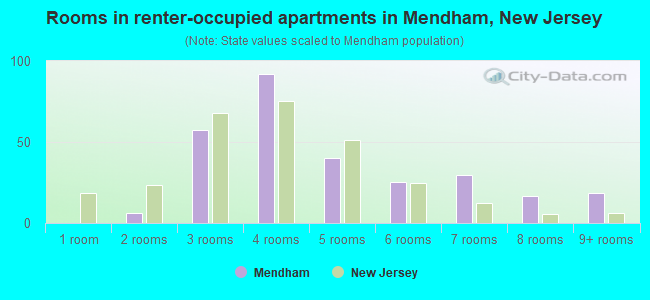 Rooms in renter-occupied apartments in Mendham, New Jersey