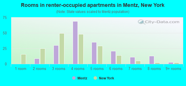 Rooms in renter-occupied apartments in Mentz, New York