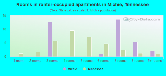 Rooms in renter-occupied apartments in Michie, Tennessee