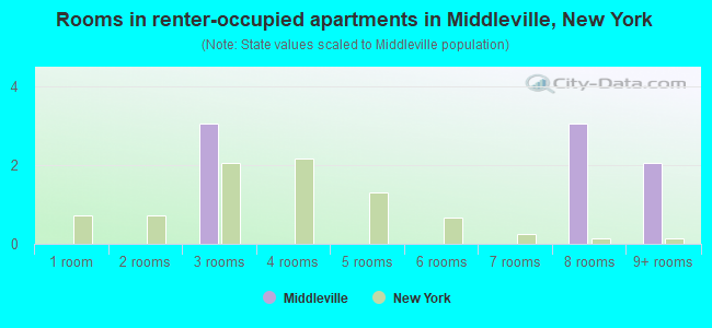 Rooms in renter-occupied apartments in Middleville, New York