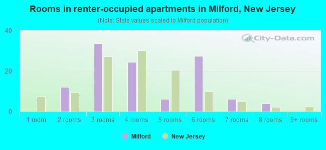 Rooms in renter-occupied apartments in Milford, New Jersey