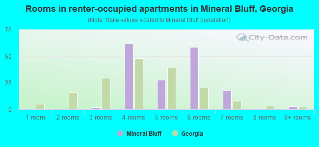 Rooms in renter-occupied apartments in Mineral Bluff, Georgia
