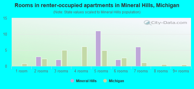 Rooms in renter-occupied apartments in Mineral Hills, Michigan