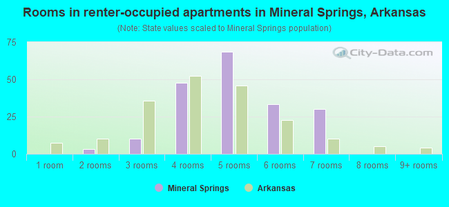 Rooms in renter-occupied apartments in Mineral Springs, Arkansas