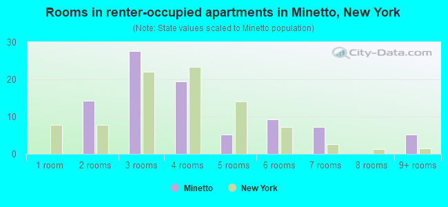 Rooms in renter-occupied apartments in Minetto, New York