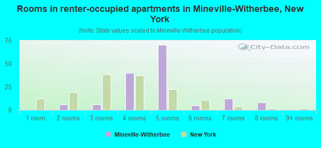 Rooms in renter-occupied apartments in Mineville-Witherbee, New York