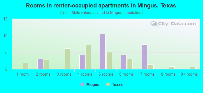 Rooms in renter-occupied apartments in Mingus, Texas