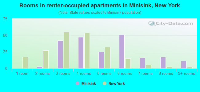 Rooms in renter-occupied apartments in Minisink, New York