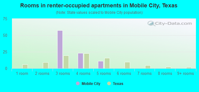 Rooms in renter-occupied apartments in Mobile City, Texas