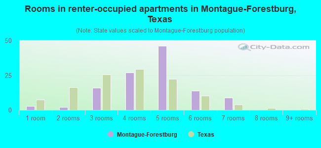 Rooms in renter-occupied apartments in Montague-Forestburg, Texas