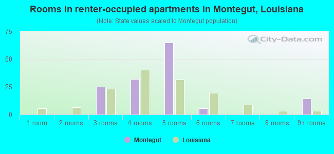 Rooms in renter-occupied apartments in Montegut, Louisiana