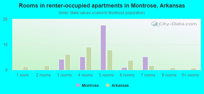 Rooms in renter-occupied apartments in Montrose, Arkansas