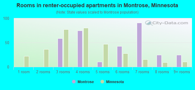 Rooms in renter-occupied apartments in Montrose, Minnesota