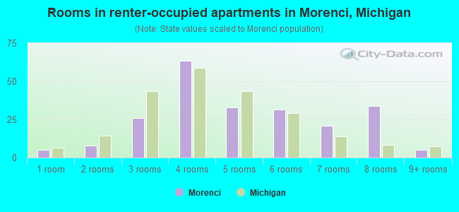 Rooms in renter-occupied apartments in Morenci, Michigan