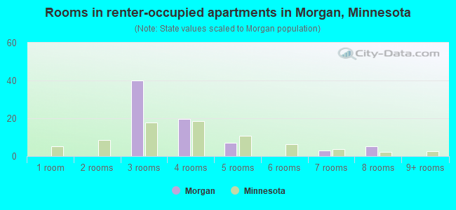 Rooms in renter-occupied apartments in Morgan, Minnesota