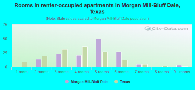 Rooms in renter-occupied apartments in Morgan Mill-Bluff Dale, Texas