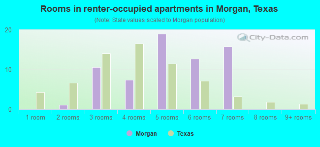 Rooms in renter-occupied apartments in Morgan, Texas
