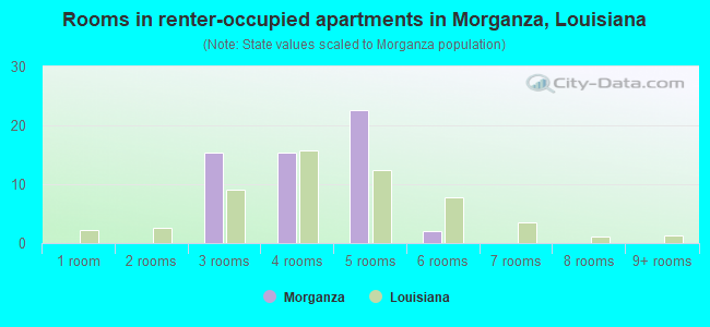 Rooms in renter-occupied apartments in Morganza, Louisiana