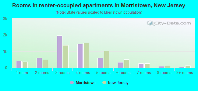 Rooms in renter-occupied apartments in Morristown, New Jersey