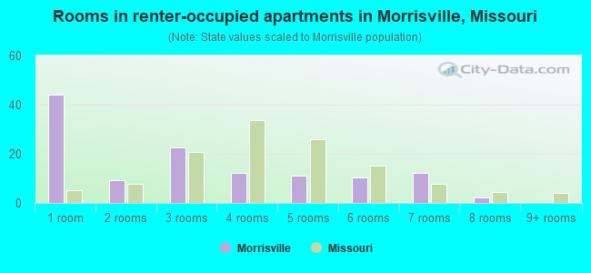 Rooms in renter-occupied apartments in Morrisville, Missouri