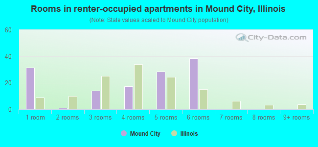 Rooms in renter-occupied apartments in Mound City, Illinois