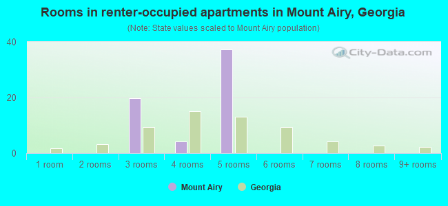 Rooms in renter-occupied apartments in Mount Airy, Georgia