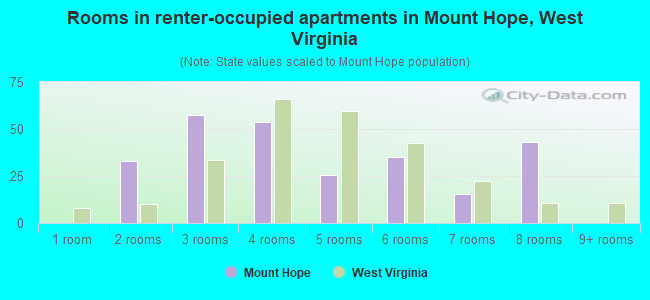 Rooms in renter-occupied apartments in Mount Hope, West Virginia
