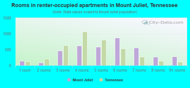 Rooms in renter-occupied apartments in Mount Juliet, Tennessee