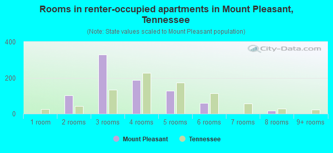 Rooms in renter-occupied apartments in Mount Pleasant, Tennessee