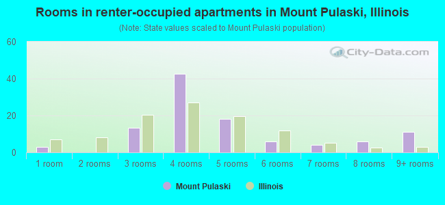 Rooms in renter-occupied apartments in Mount Pulaski, Illinois