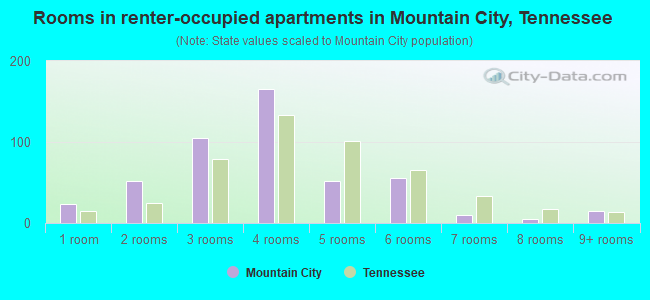 Rooms in renter-occupied apartments in Mountain City, Tennessee