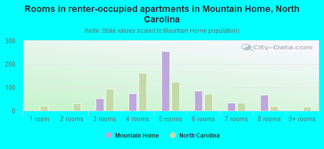 Rooms in renter-occupied apartments in Mountain Home, North Carolina