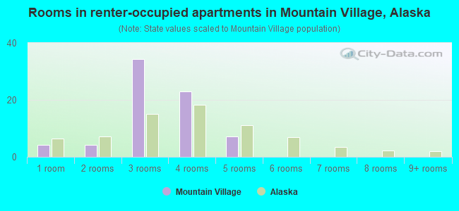 Rooms in renter-occupied apartments in Mountain Village, Alaska