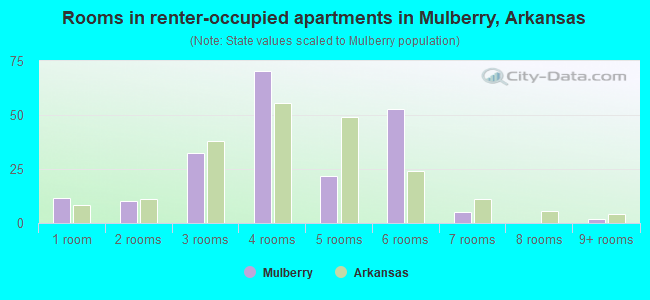 Rooms in renter-occupied apartments in Mulberry, Arkansas