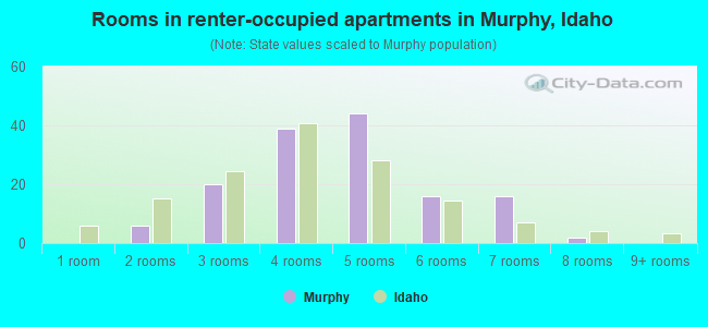 Rooms in renter-occupied apartments in Murphy, Idaho
