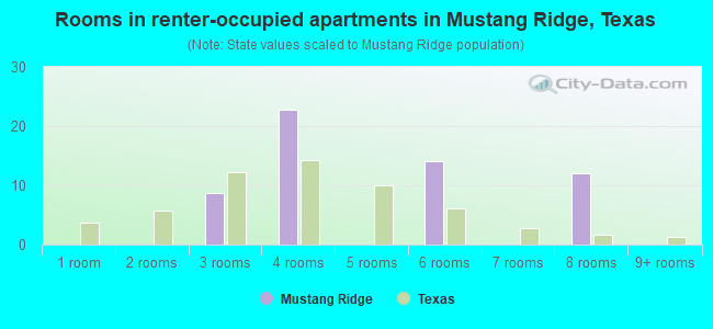 Rooms in renter-occupied apartments in Mustang Ridge, Texas