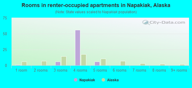 Rooms in renter-occupied apartments in Napakiak, Alaska